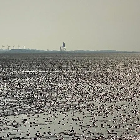 Am Deichweg דירה