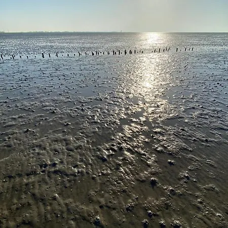 Am Deichweg דירה *