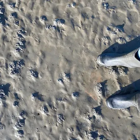 Am Deichweg * Cappel-Neufeld